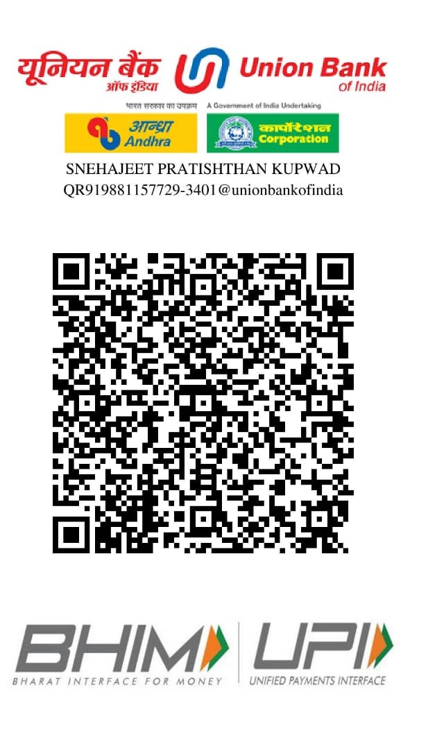 UPI QR Code